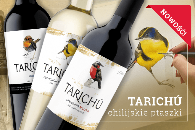 Tarichú – chilijskie ptaszki – nowość w ofercie