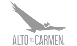 Alto del Carmen