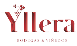 Yllera – Bodegas y Viñedos